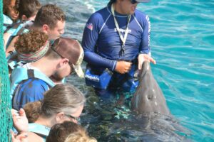 Picture of dolphin handler, dolphin and 5 individuals in the water